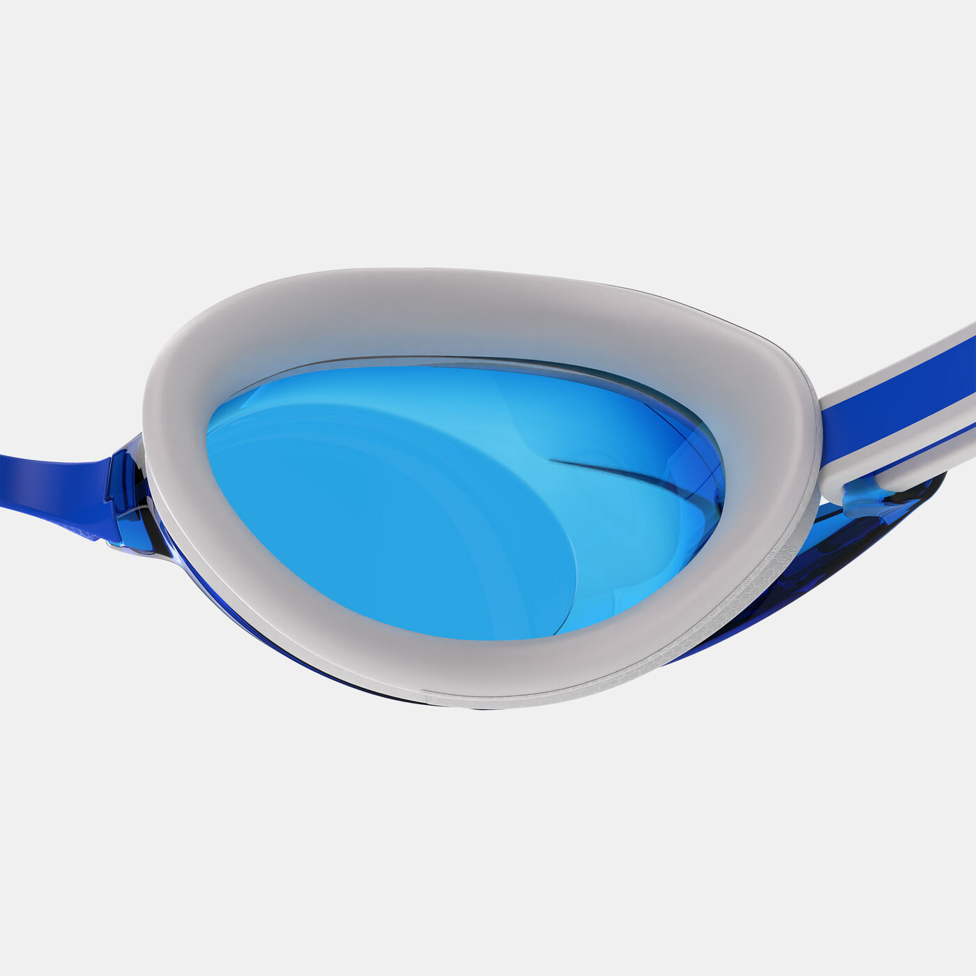 Vanquisher 3.0 Swimming Goggles