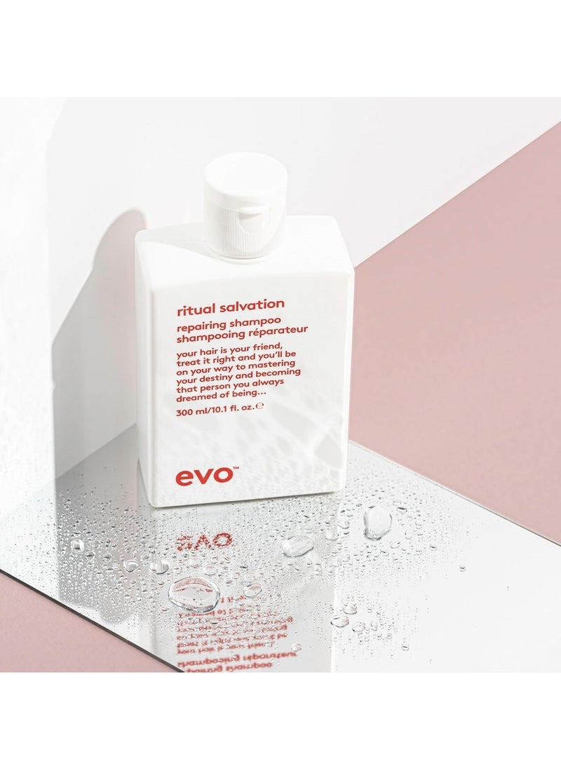 Ritual Salvation Repairing Shampoo Dry Hair, Anti Frizz Shampoo for Men and Women, Repairing Hair Shampoo for Cleaning and Strengthening Hair, 300 ml
