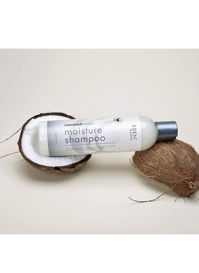 EDEN BodyWorks Coconut Shea Moisture Shampoo | 8 oz | Remove Build Up & Restore Moisture Balance - Packaging May Vary