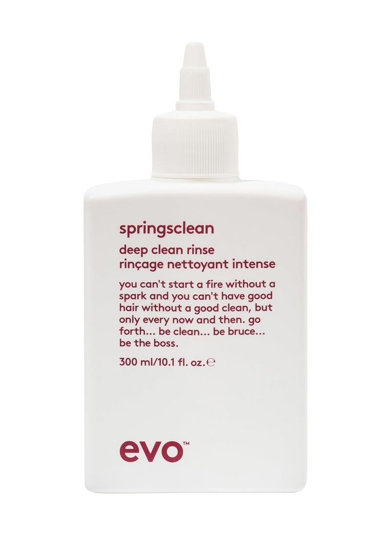 EVO Springsclean Shampoo - Deep Cleansing & Gentle Moisturizing - For Natural Shiny Soft Curly & Wavy Hair