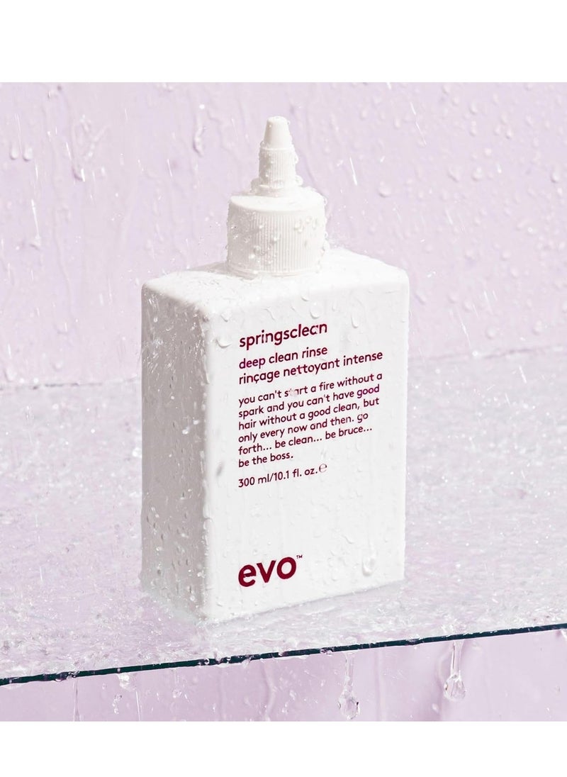 EVO Springsclean Shampoo - Deep Cleansing & Gentle Moisturizing - For Natural Shiny Soft Curly & Wavy Hair