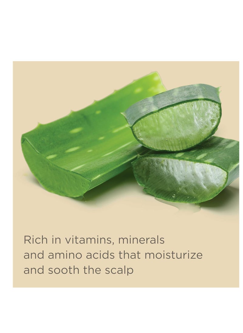 Hairitage Gentle Daily Moisture Shampoo and Conditioner Set - Split End + Bond Strengthening for Dry, Damaged Hair with Jojoba Oil - Anti-Frizz and Color Safe - Cherry + Amber Scent (13oz. 2-pack)