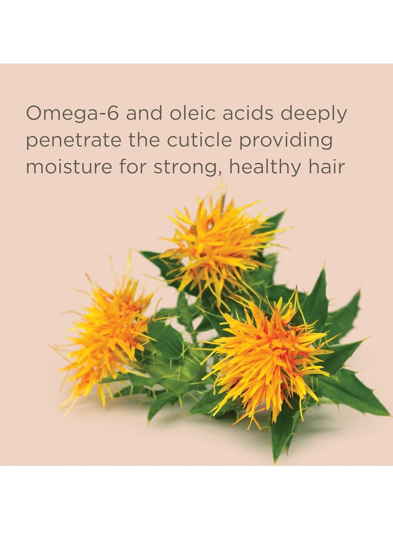 Hairitage Gentle Daily Moisture Shampoo and Conditioner Set - Split End + Bond Strengthening for Dry, Damaged Hair with Jojoba Oil - Anti-Frizz and Color Safe - Cherry + Amber Scent (13oz. 2-pack)