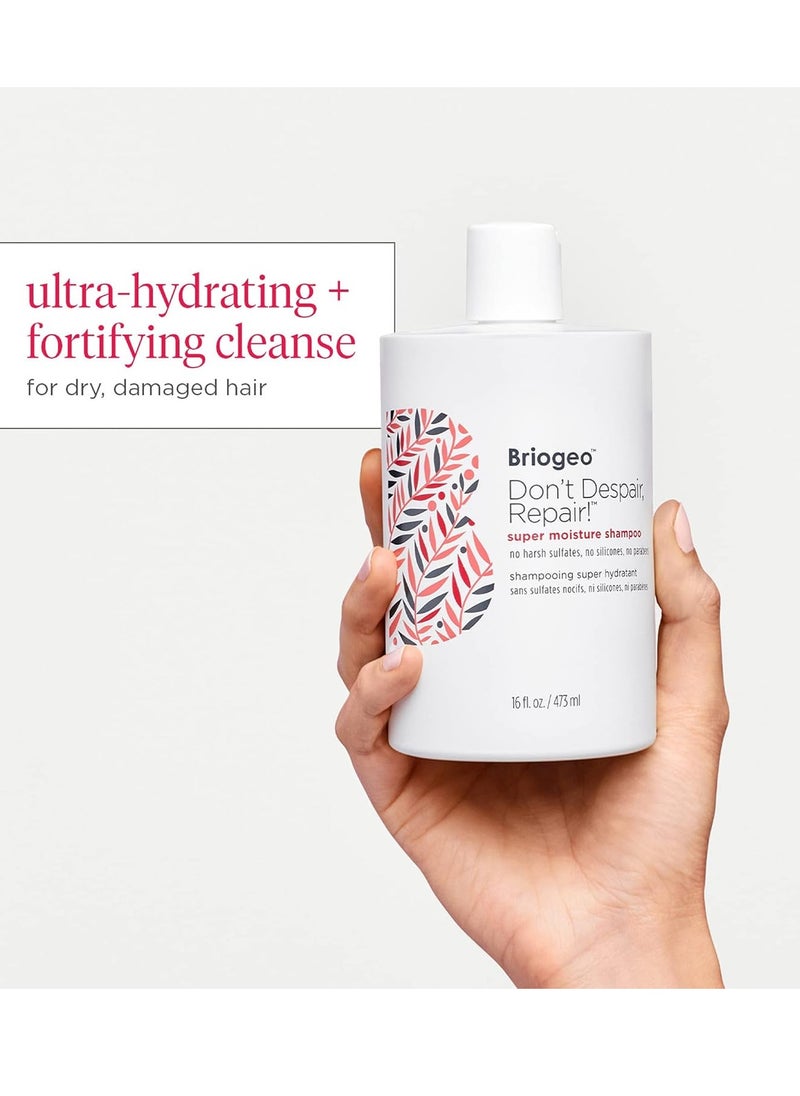 Briogeo Don't Despair, Repair! Super Moisture Shampoo, Dry Damaged Hair, Hair Shampoo with Argan Oil for Hair, Hair Moisturizer Hair Treatment, Protein Shampoo, Vegan, Cruelty-Free