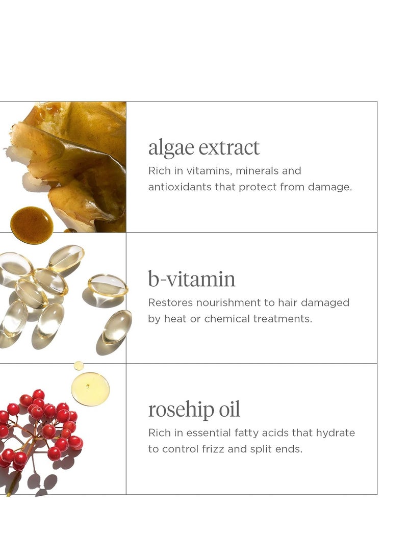 Briogeo Don't Despair, Repair! Super Moisture Shampoo, Dry Damaged Hair, Hair Shampoo with Argan Oil for Hair, Hair Moisturizer Hair Treatment, Protein Shampoo, Vegan, Cruelty-Free