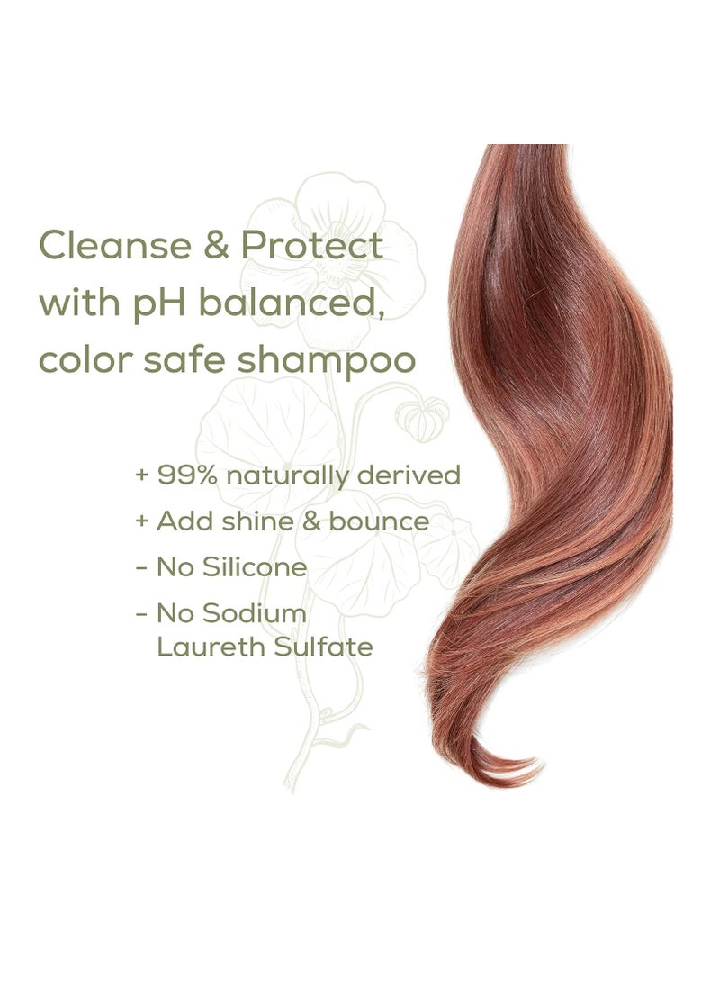 Naturtint Color Care Shampoo for Color-Treated, Dry, or Normal Hair, Formulated to Retain Vibrancy without Parabens, Sodium Lauryl Sulfate or Sodium Laureth Sulfate