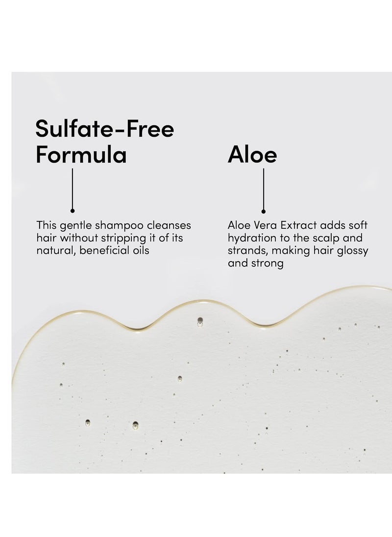 LATHER Mint Thyme Shampoo Hair Wash - invigorating Sulfate-Free Gentle Shampoo - Natural Shampoo With Peppermint Oil, Green Tea, Mint & Thyme - 8 Oz Bottle