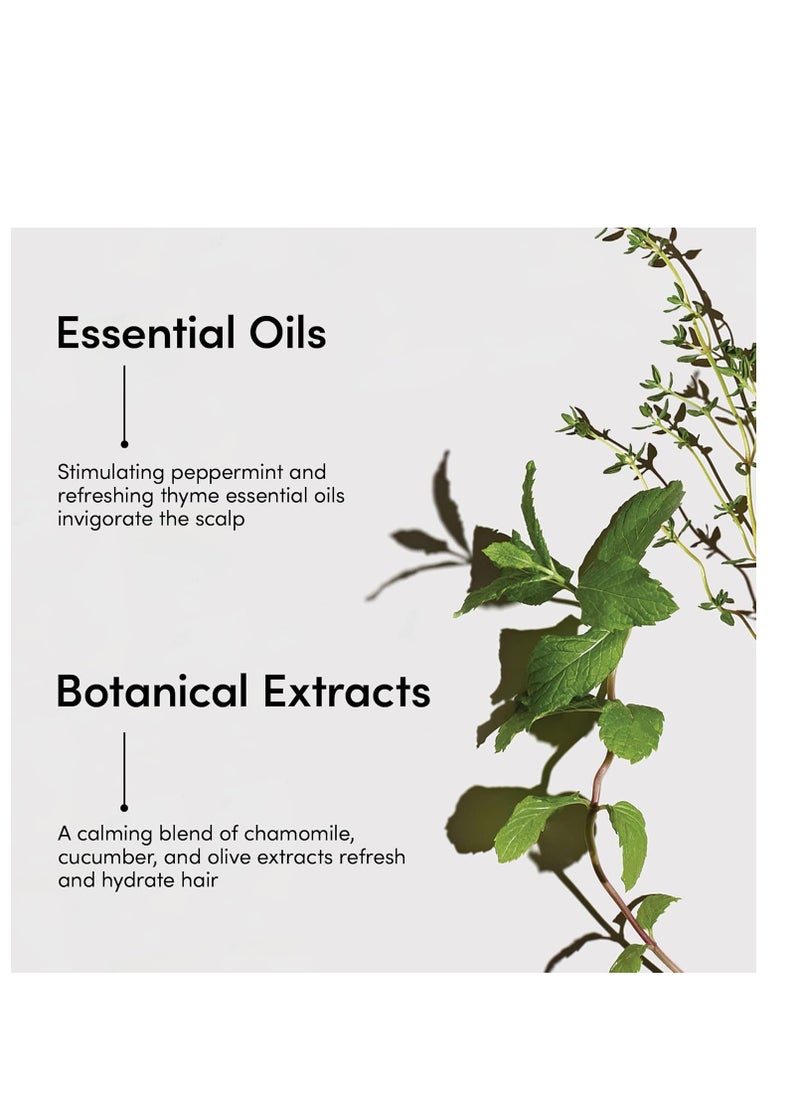 LATHER Mint Thyme Shampoo Hair Wash - invigorating Sulfate-Free Gentle Shampoo - Natural Shampoo With Peppermint Oil, Green Tea, Mint & Thyme - 8 Oz Bottle