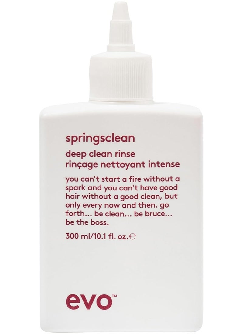 Springsclean Shampoo - Deep Cleansing & Gentle Moisturizing - For Natural Shiny Soft Curly & Wavy Hair - 300ml