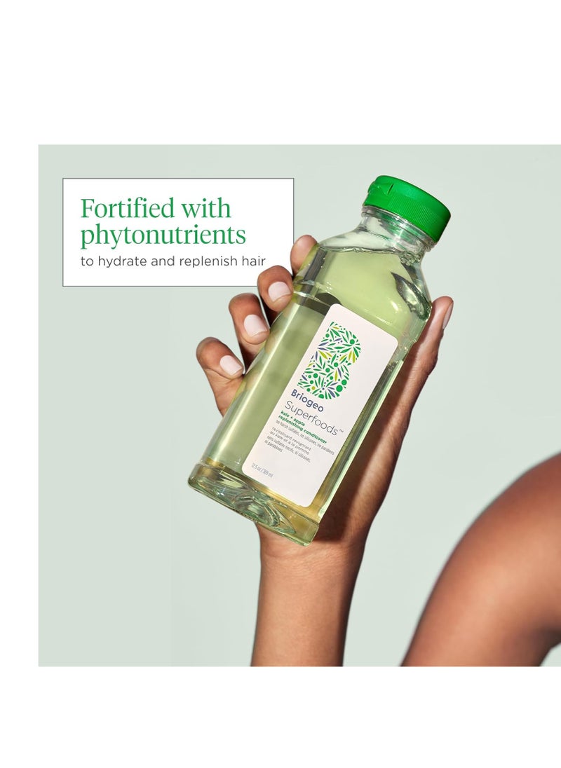 Briogeo Superfoods Matcha + Apple Replenishing Shampoo, Supports Healthy, Balanced Hair and Scalp, Shampoo for All Hair Types and Textures, Enhances Shine, Vegan, Cruelty-Free, 12.5 fl oz