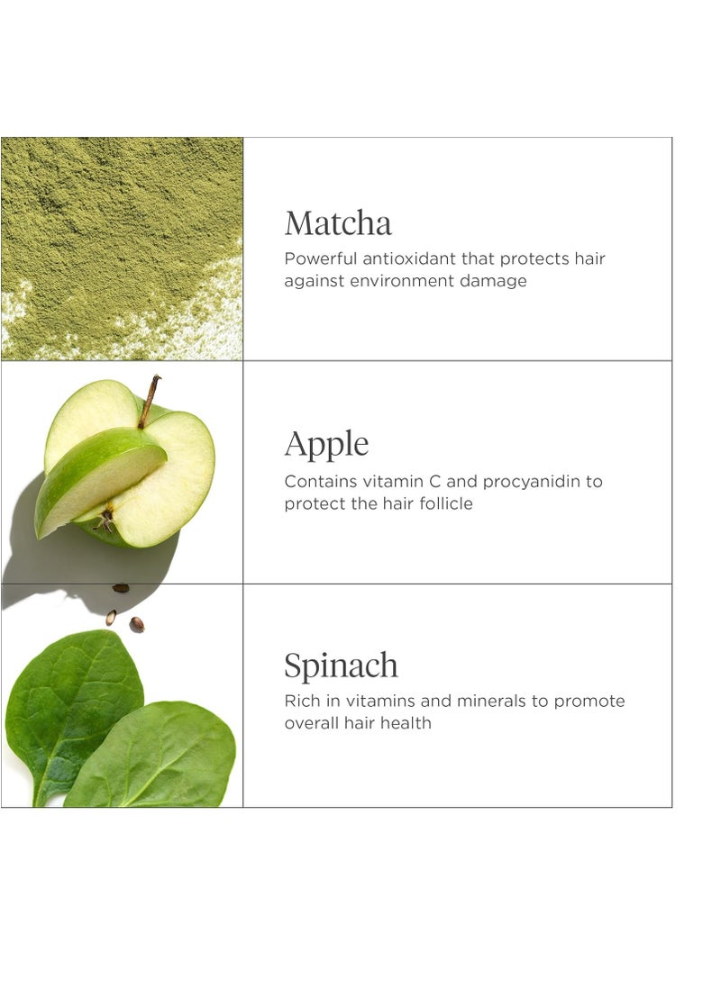 Briogeo Superfoods Matcha + Apple Replenishing Shampoo, Supports Healthy, Balanced Hair and Scalp, Shampoo for All Hair Types and Textures, Enhances Shine, Vegan, Cruelty-Free, 12.5 fl oz