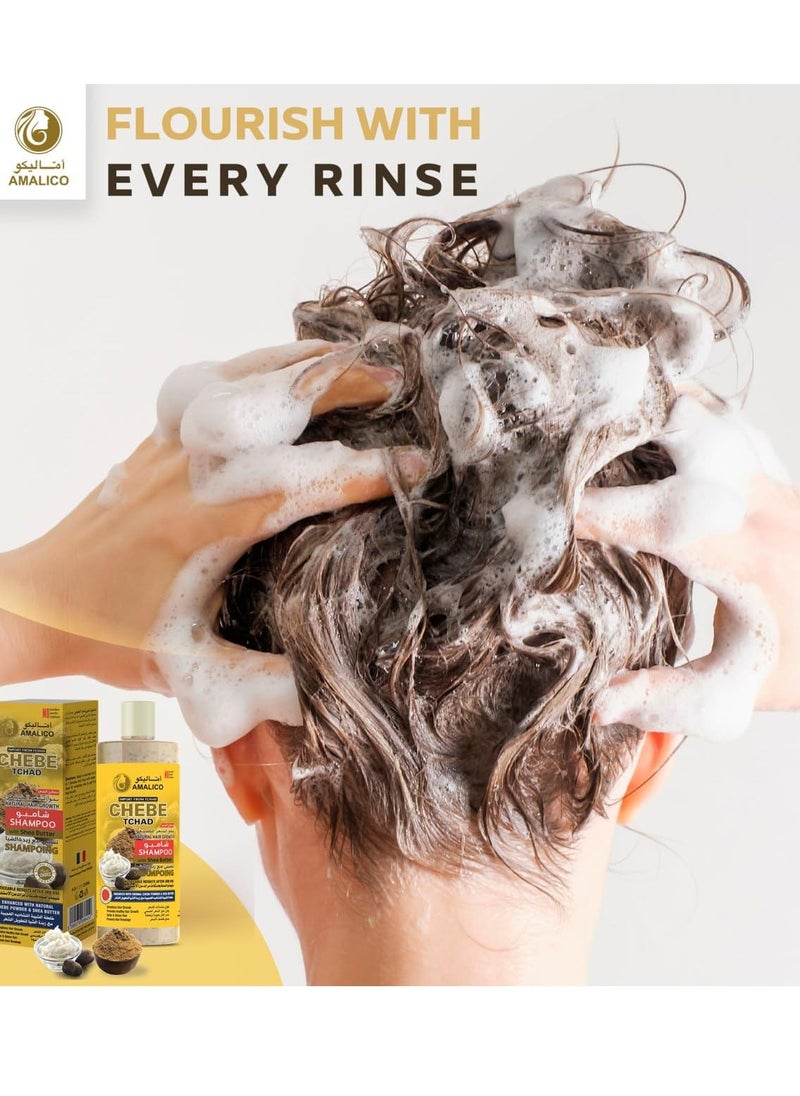 Sulfate Free Shampoo with Chebe Powder and Shea Butter (16.9 OZ) Hair Shampoo for Hair Growth and Anti-dandruff Shampoo