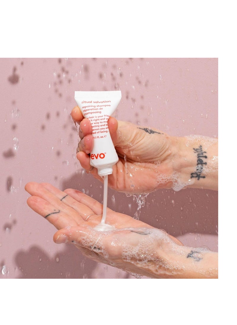 EVO Ritual Salvation Repairing Shampoo - Gently Cleanses, Treats Damaged & Brittle Hair & Protects Color