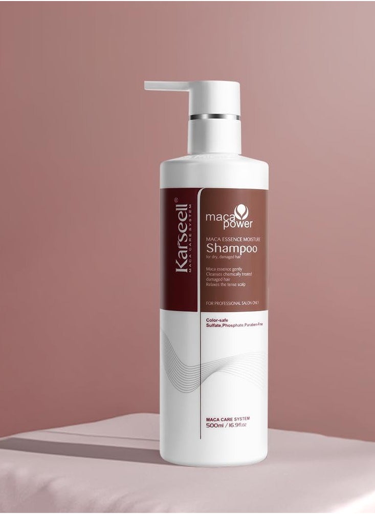 Karseell Argan Oil Shampoo for All Hair Types, Deep Repair Conditioning with Herbal Extracts, Moisturizing and Nourishing, Reduces Frizz and Flyaways, Enhances Curls, With Argan Oil Serum 50ml