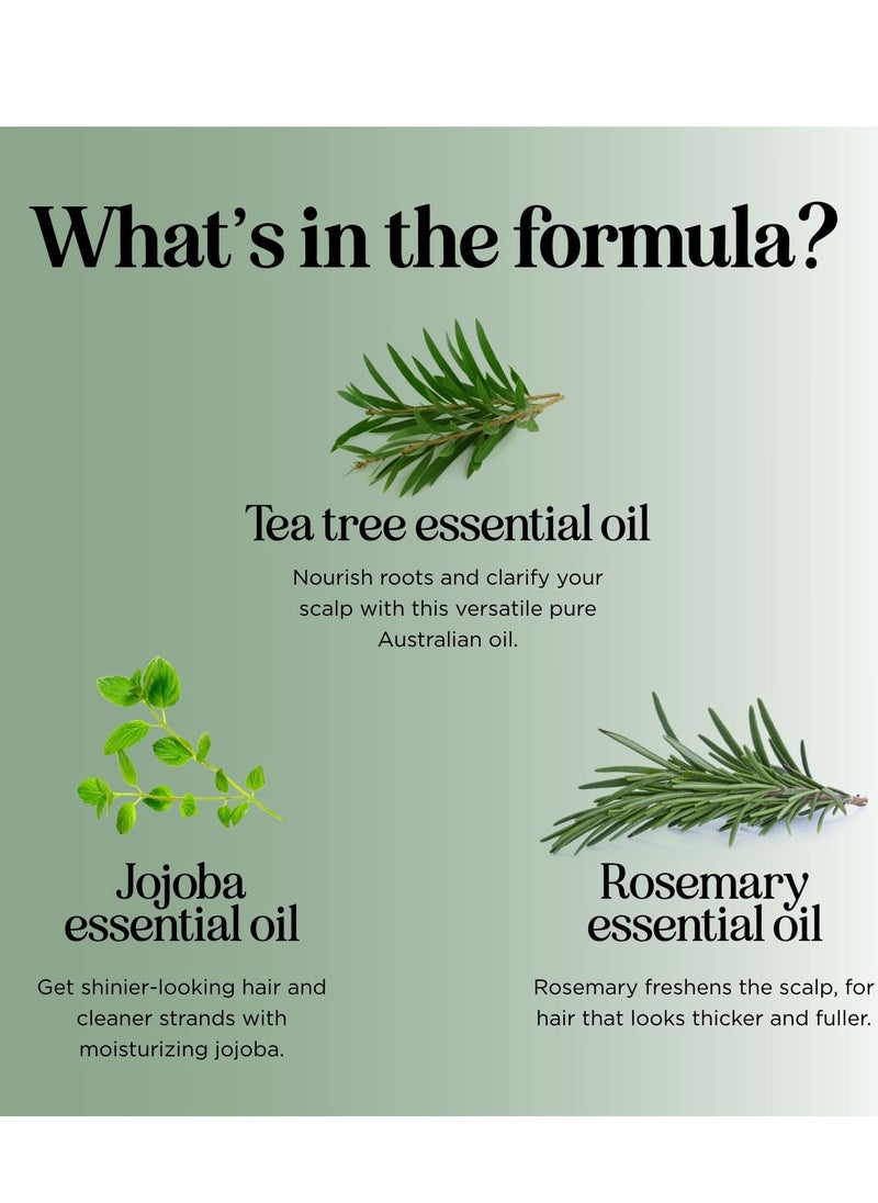 Invigorating Tea Tree Mint Shampoo - Rosemary Mint Shampoo for Oily Hair with Tea Tree Oil for Hair - Aromatherapy Clarifying Shampoo for Build Up Dry Scalp and Flakes with Essential Oils for Hair