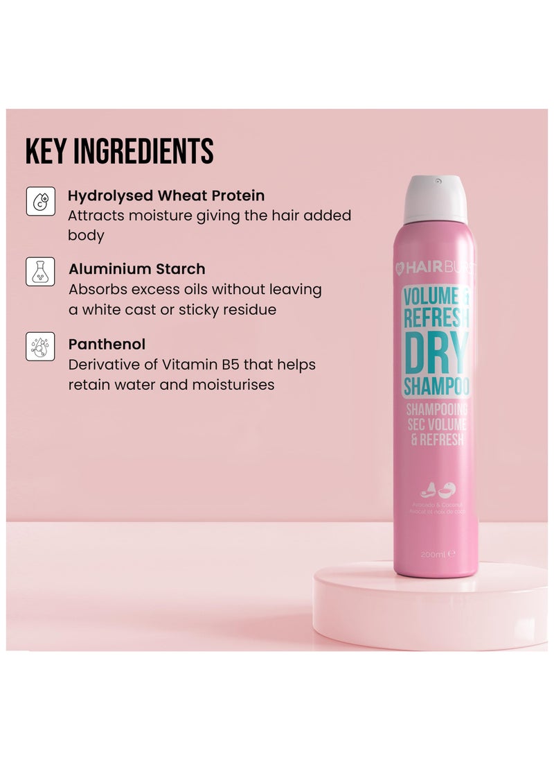 Volume & Refresh Dry Shampoo — No White Residue, Revitalising Hair with Added Texture & Root Lift, Absorbs Excess Oils, Enriched with Hydrolysing Wheat Protein & Panthenol