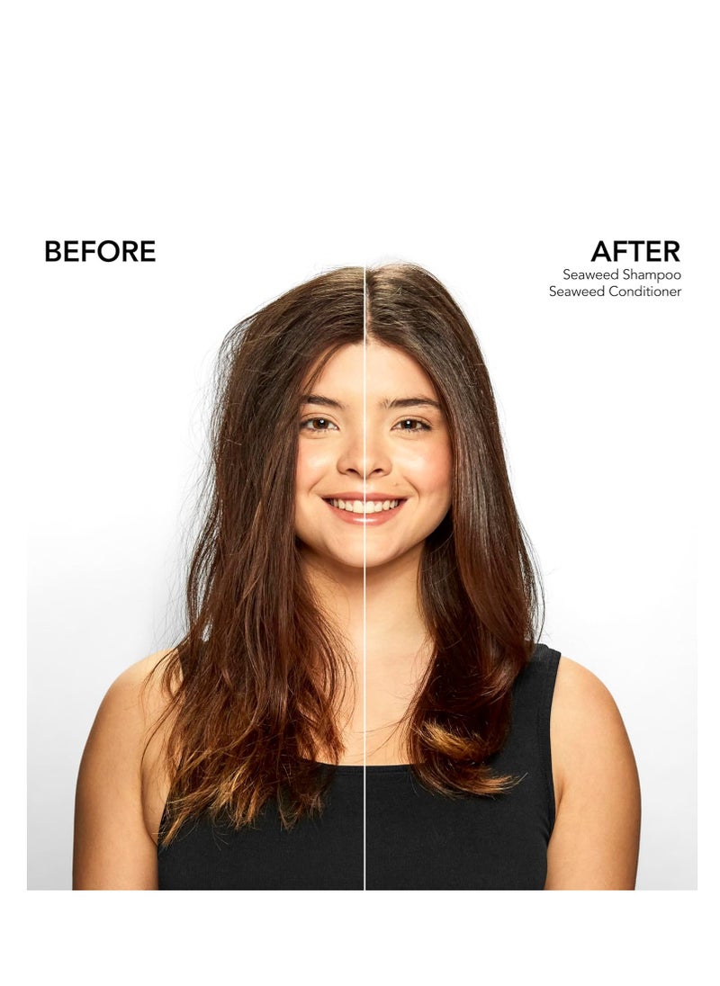 Bumble and bumble. Seaweed Hydrating Conditioner | For Fine-to-Medium Hair or Daily Washer | Anti Frizz, Color Safe + Detangler