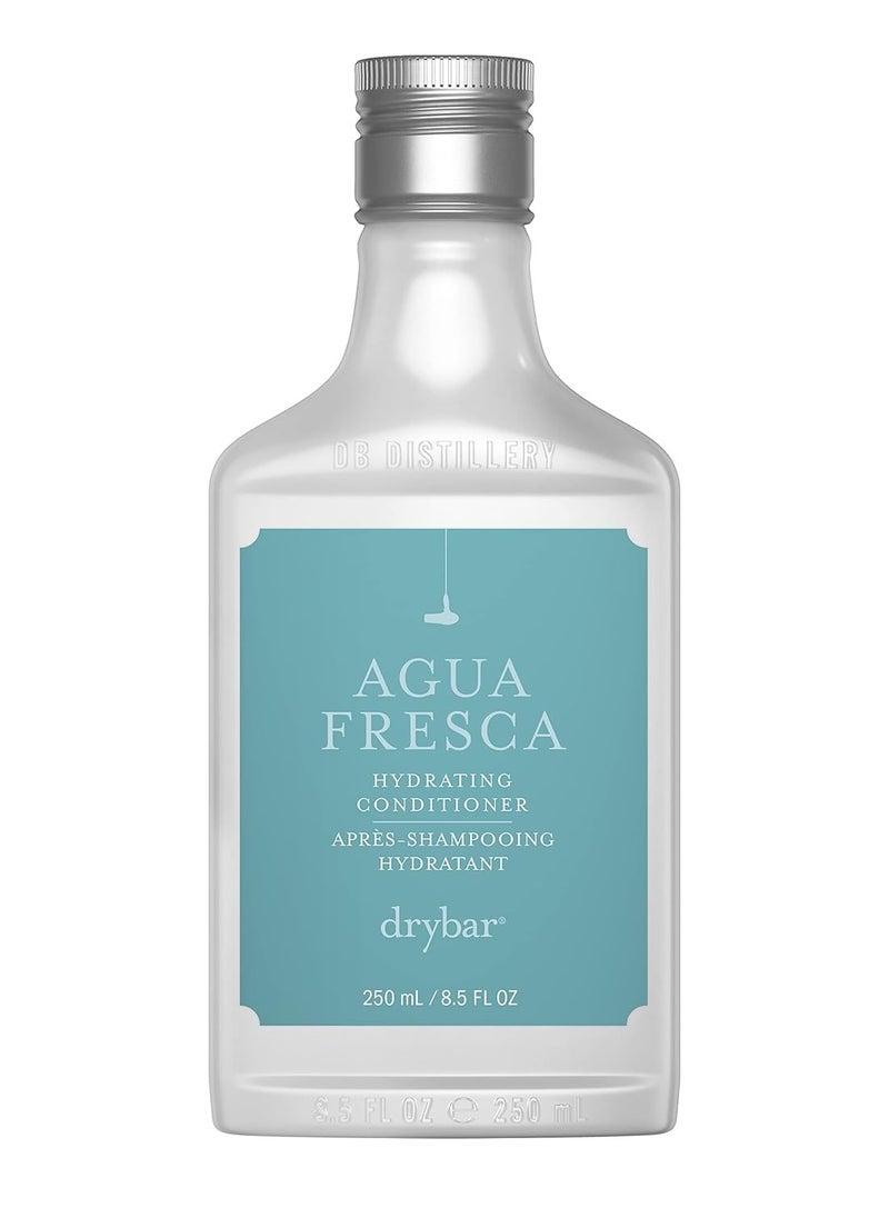 Drybar Agua Fresca Hydrating Conditioner