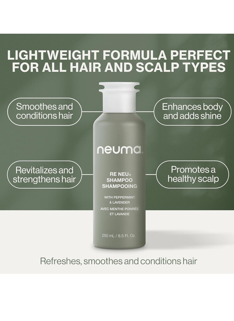 Neuma Re Neu Conditioner