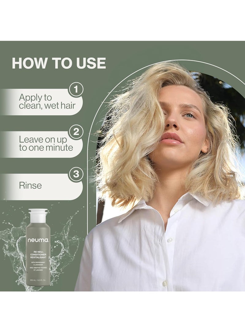 Neuma Re Neu Conditioner
