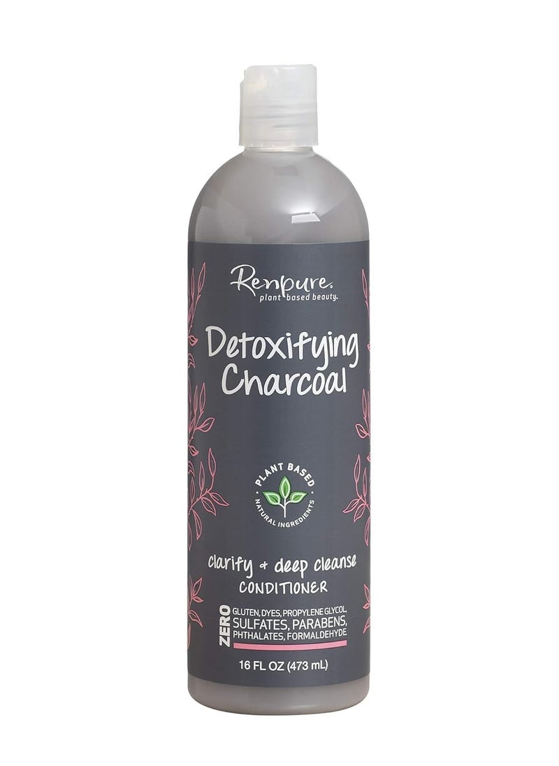 RENPURE Plant Based Beauty Detoxifying Charcoal Clarify + Deep Cleanse Conditioner, Mint, 16 Fl Oz