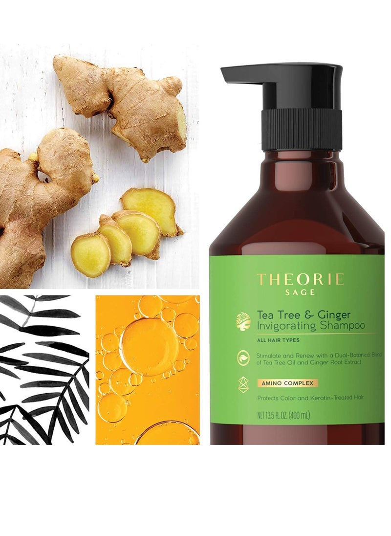Theorie Tea Tree & Ginger Invigorating Conditioner – Stimulate and Renew – For All Hair Types – Made from Natural Ingredients – Protects Color and Keratin Treated Hair (800ml)