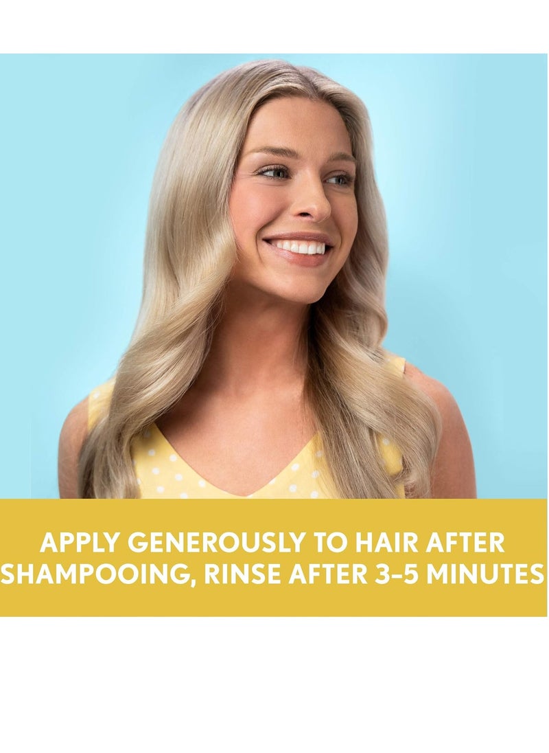 Aveeno Sunflower Oil Blend Conditioner, for Dry Damaged Hair, Dye, Paraben & Sulfate Surfactants Free, 12oz