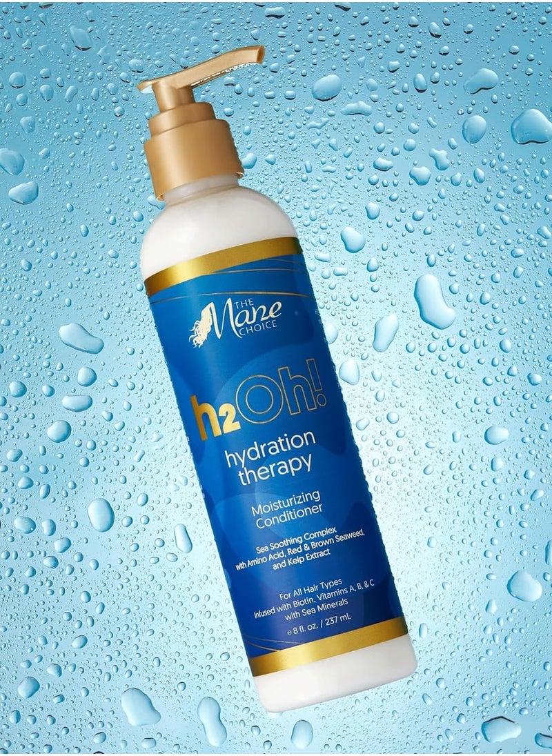 The Mane Choice H2Oh! Hydration therapy Moisturizing Conditioner 8 Oz