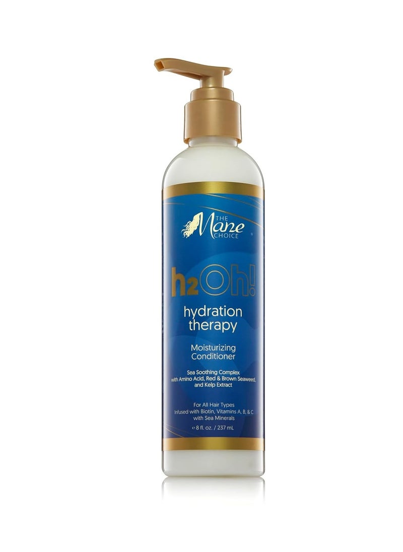 The Mane Choice H2Oh! Hydration therapy Moisturizing Conditioner 8 Oz