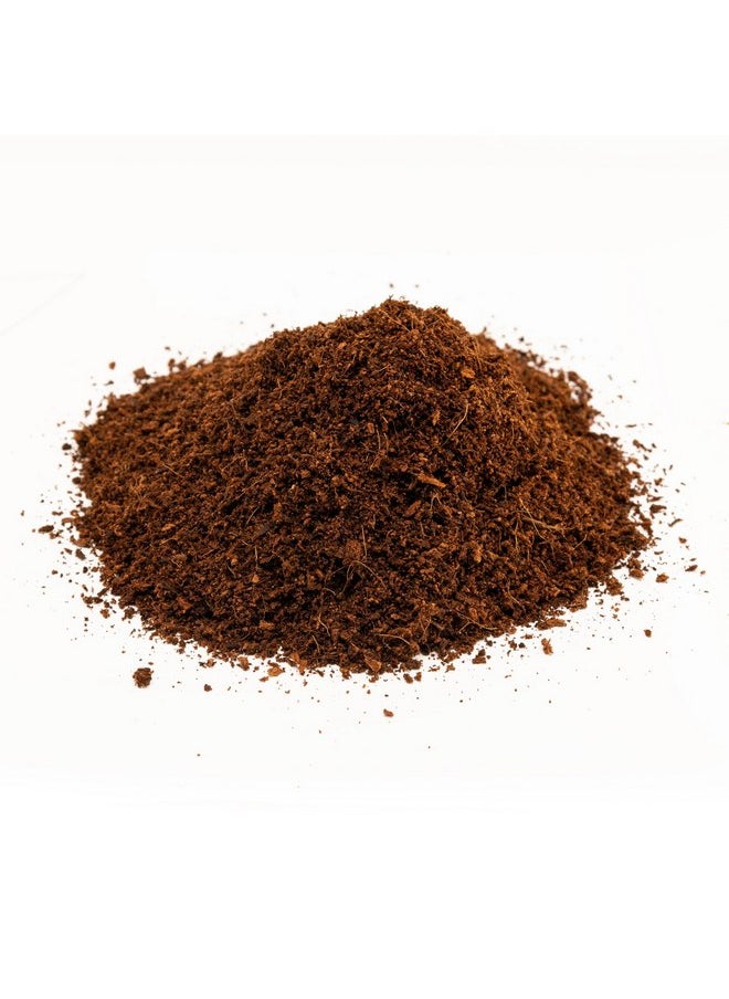 Zoo Med Eco Earth for Small Animal and Insects [Set of 3] Size: Single Brick