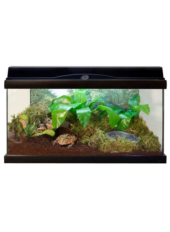 Zoo Med Eco Earth for Small Animal and Insects [Set of 3] Size: Single Brick