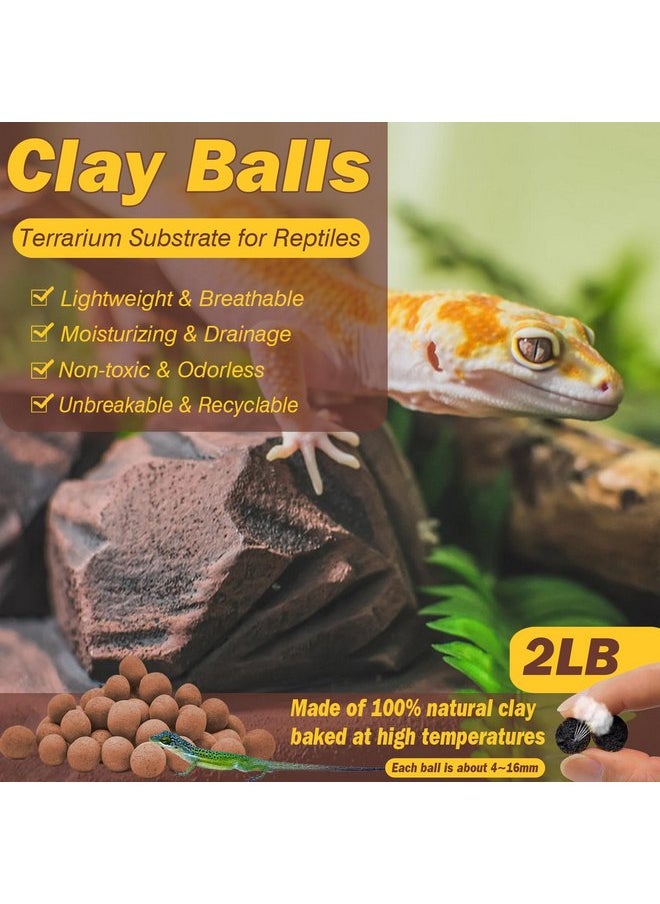 ZeeDix 2LBS Expanded Clay Balls for Reptile Terrarium Substrate - 100% Natural Lightweight Clay Pebbles Substrate, Bioactive Terrarium Substrate for Frogs Bearded Dragon Tortoises Snake Bedding