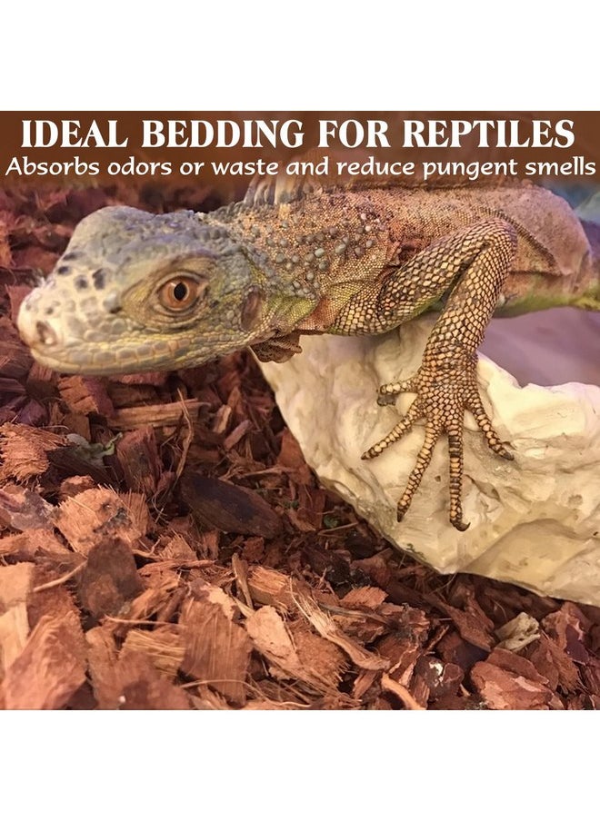 ZeeDix 10LB Coco Fiber Chips Substrate for Reptiles, 72 Quart Coconut Fiber Husk Substrate Mulch Coco Chips Bricks Reptiles Bedding for Geckos, Lizards, Tortoises, Ball Python, Frogs
