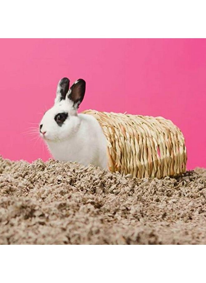 Carefresh 99% Dust-Free Natural Paper Small Pet Bedding with Odor Control, 14 L