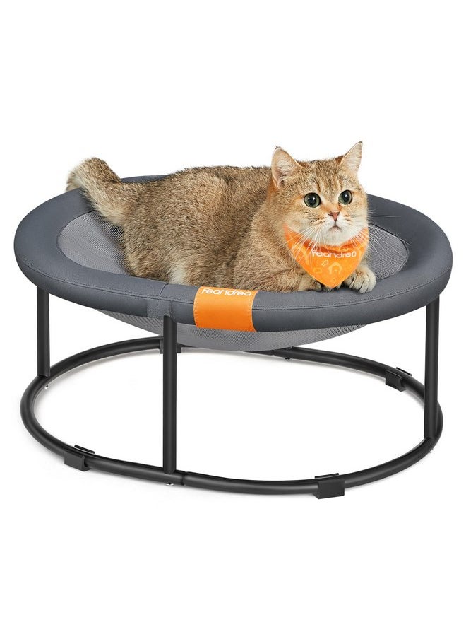 Feandrea Pet Bed, Cat Hammock, Elevated Cat Bed for Multiple Cats, with Removable Washable Mesh, for Pets up to 20 lb, Oval, Gray UPCB001G01