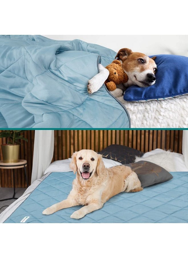 PetAmi Premium Cooling Dog Blanket | Lightweight Fluffy Pet Throw Blanket Bed Cover for Dogs, Cat, Puppies | Pet Blanket Furniture Protector Couch Sofa | Reversible Fuzzy Cozy | 40x60, Dusty Blue