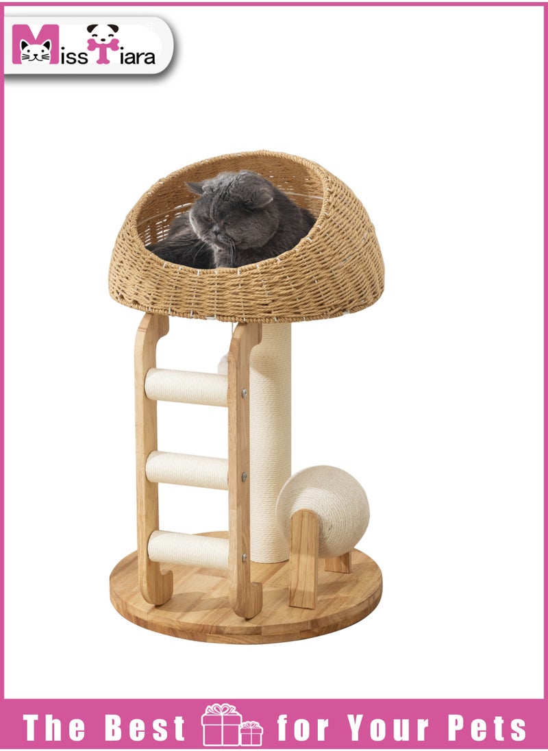 Cat Tree Tower, Cat Bed with Toy, Cat Furniture Scratching Tree for Indoor Cat, Manual Hand Woven Tall Wood Cat House,Includes 45cm large cat bed with 15cm Cat scratching ball toys,New Cat Condo Unique Cat Gift