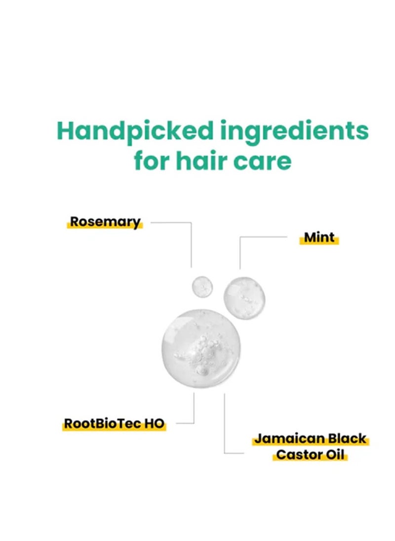 Anveya Rosemary Mint Hair Oil | Hair Oils for Hair Growth & Dandruff Control | Rosemary Oil for Hair Growth & Hair Care | Smoothens Dry Scalp, Reduces Hair Fall & Split Ends | for Men & Women | 50ml