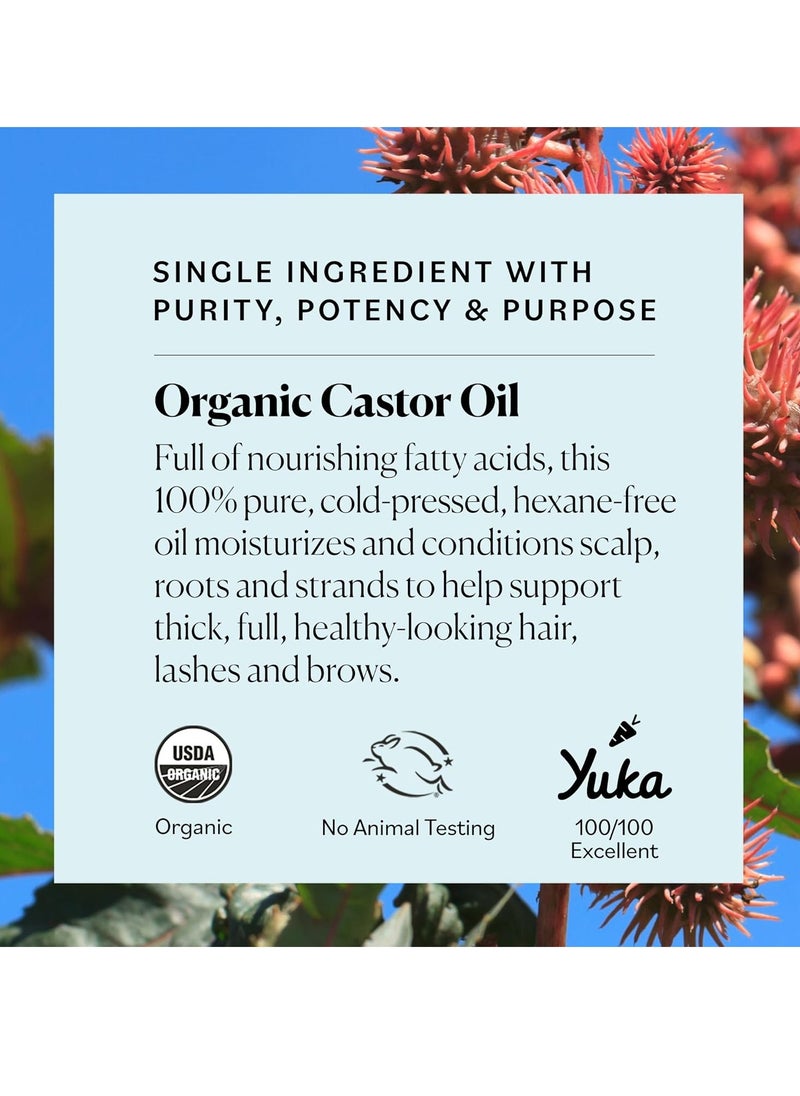 Sky Organics - Castor Oil Organic - Volumizing Hair Oil - Scalp, Lashes, Brows - Pure Castor Oil Cold Pressed - Natural Conditioner - Omega Fatty Acids, Vegan - Beauty, Hair Care - 8oz