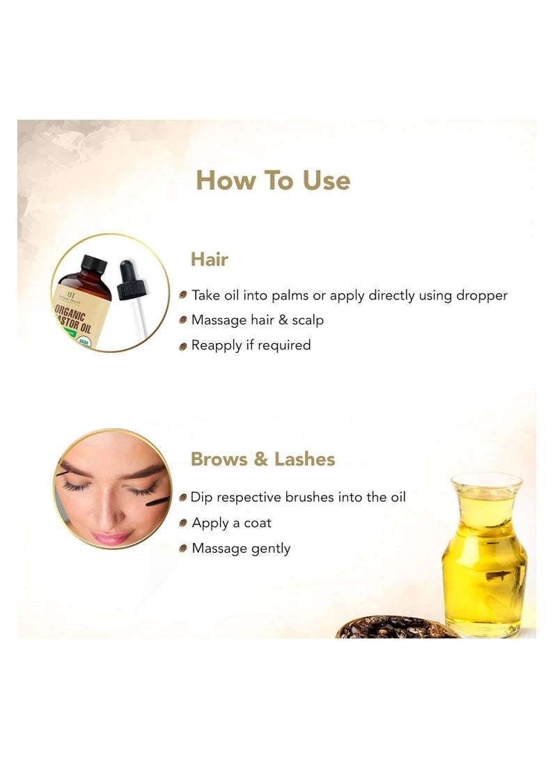 Botanic Hearth Castor Oil (2 fl oz) | USDA Certified Organic | 100% Pure & Hexane Free | Cold Pressed |Promotes Growth for Eyelashes, Eyebrows & Hair | Includes Eyebrow & Eyelash Brush