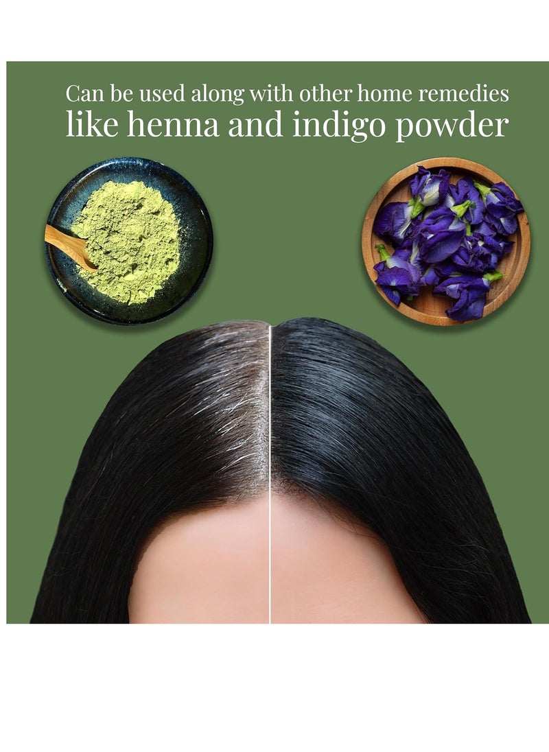 Satthwa Kalika Hair Oil - Make Your Hair Naturally Darker Helps Fight Greying of Hair Naturally Suitable for All Types Hair Men and Women- 150ml Each (5oz Each)