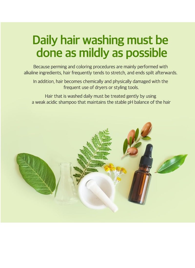 Kerasys Hair Clinic Tea Tree Oil 33.8 fl oz / 1L (Shampoo + Conditioner Set)