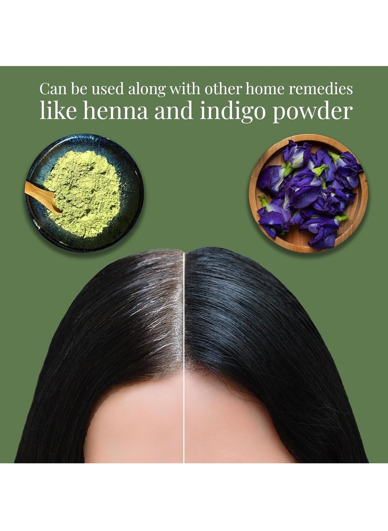 Satthwa Kalika Hair Oil, 150Ml Ayurvedic Anti-Grey Solution For Unisex With Ridge Gourd, Hibiscus, Bhringraj For Darkening Hair, Delays Greying, Strengthens, Adds Shine & Reduces Hair Fall