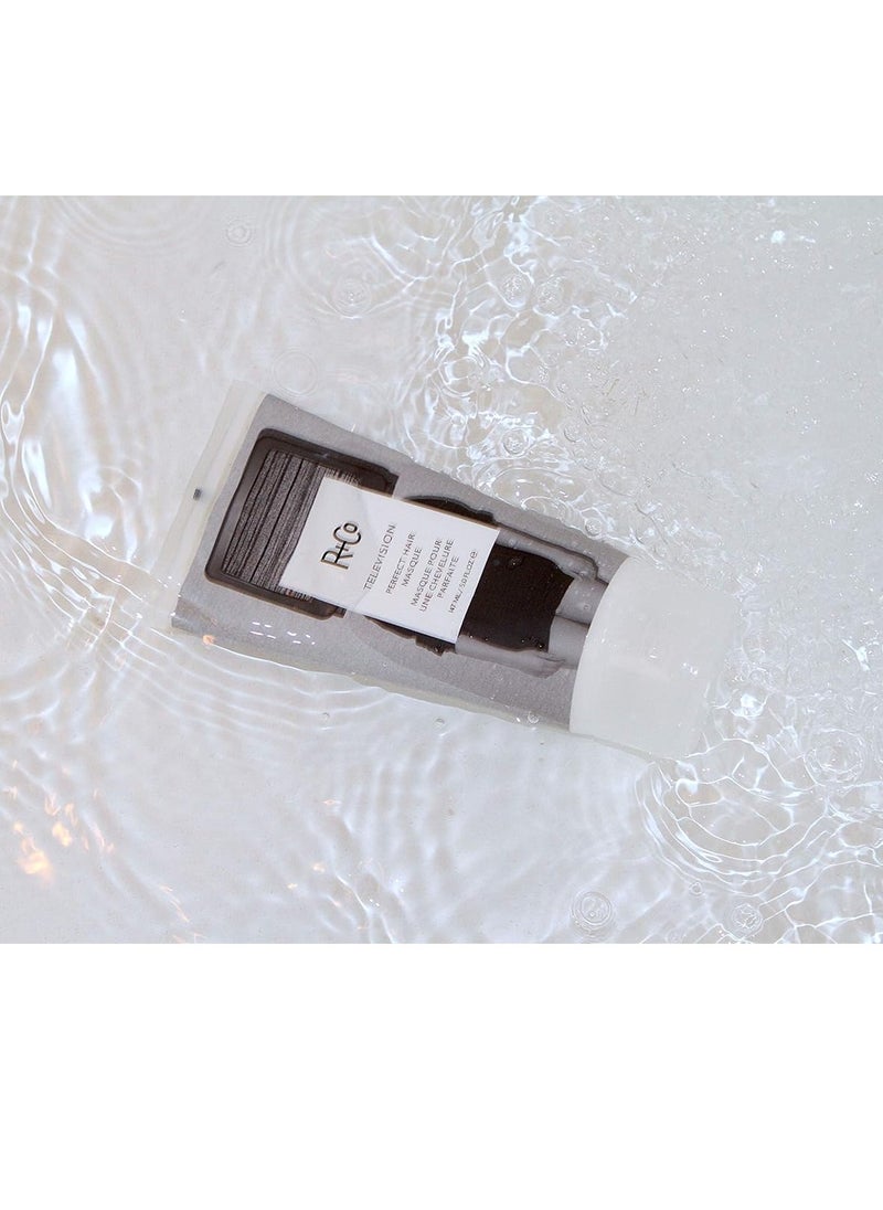 R+Co Television Perfect Hair Masque