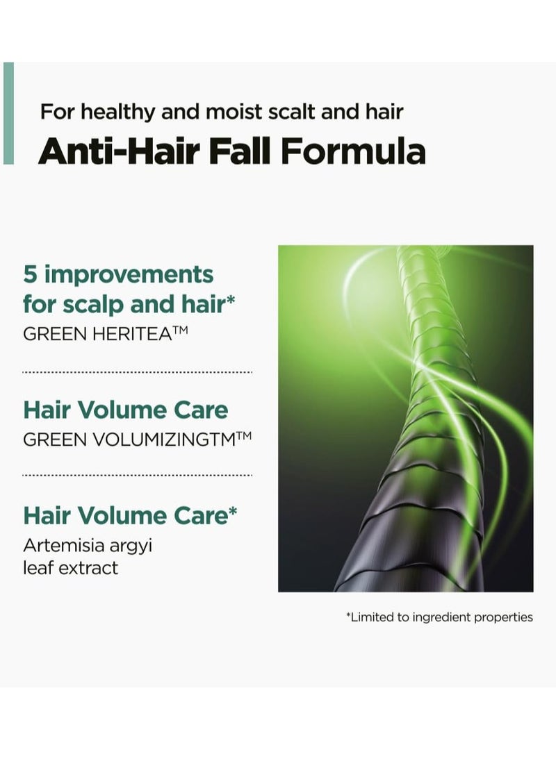 AMOS PROFESSIONAL The Green Tea Moisturizing Pack, Hair & Scalp Treatment for Thinning Hair, Korean Hair Mask, Strengthening Hair, All Hair Types, 8.4 fl.oz