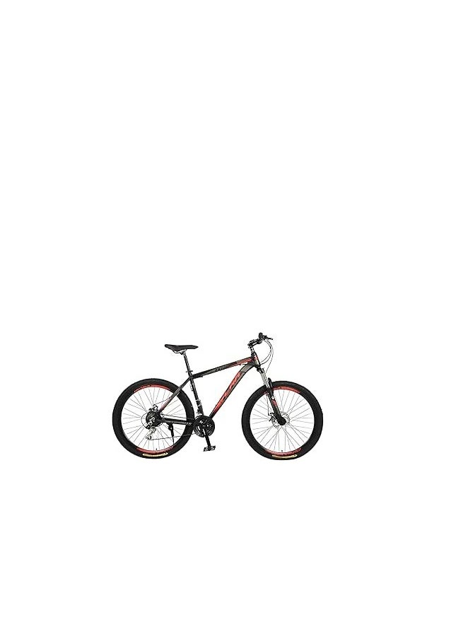 BIKE 29 inch 24 speed mountain bike sport fitness road bike