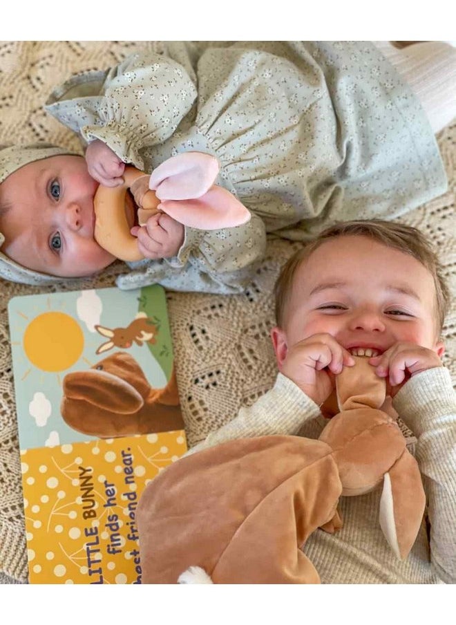 Mary Meyer Teething Toys Leika Silicone Baby Teether for Babies 0-12 Months, 9-Inches, Little Bunny