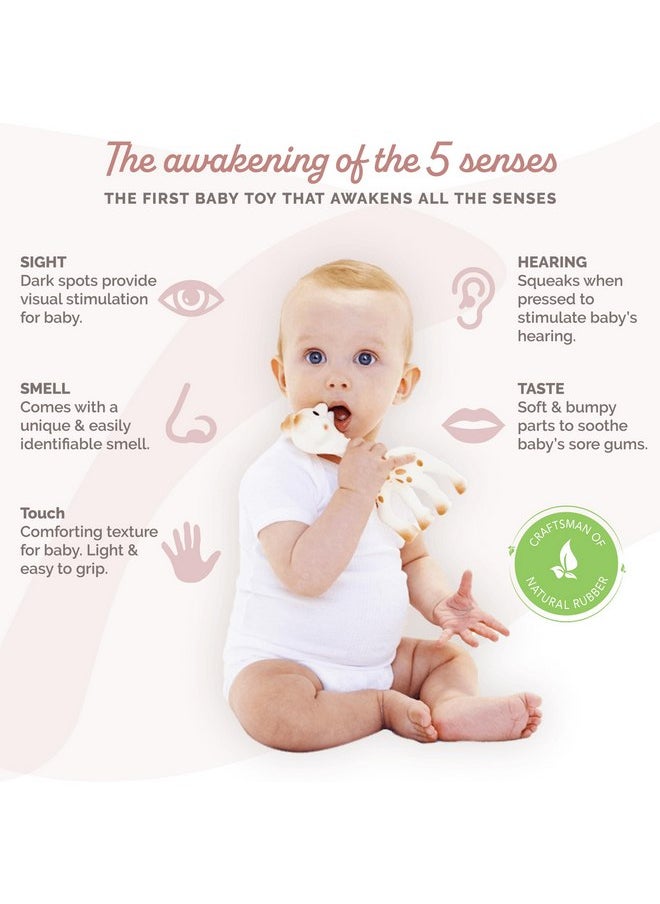 Sophie la girafe | Handcrafted for 60 Years in France | Natural Rubber | Designed for Teething Babies | Awaken All 5 Senses | Easy to Clean