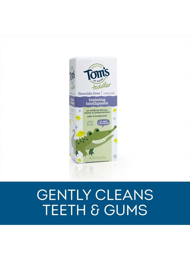 Toddlers Fluoride-Free Natural Toothpaste in Mild Fruit Gel, 1.75 Ounce (Pack of 6)