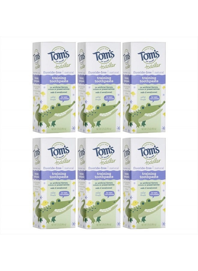 Toddlers Fluoride-Free Natural Toothpaste in Mild Fruit Gel, 1.75 Ounce (Pack of 6)